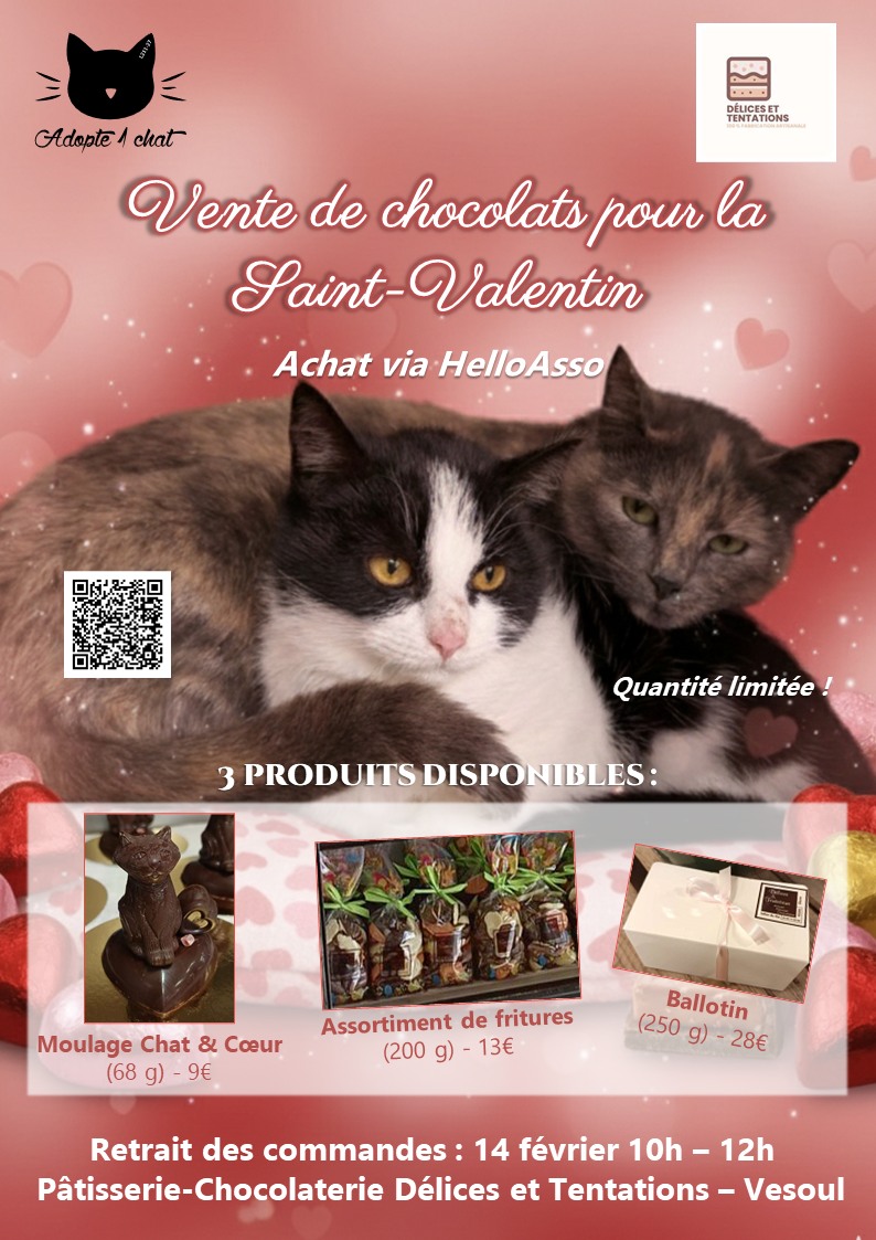 Vente de chocolats
