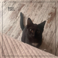 Pixel