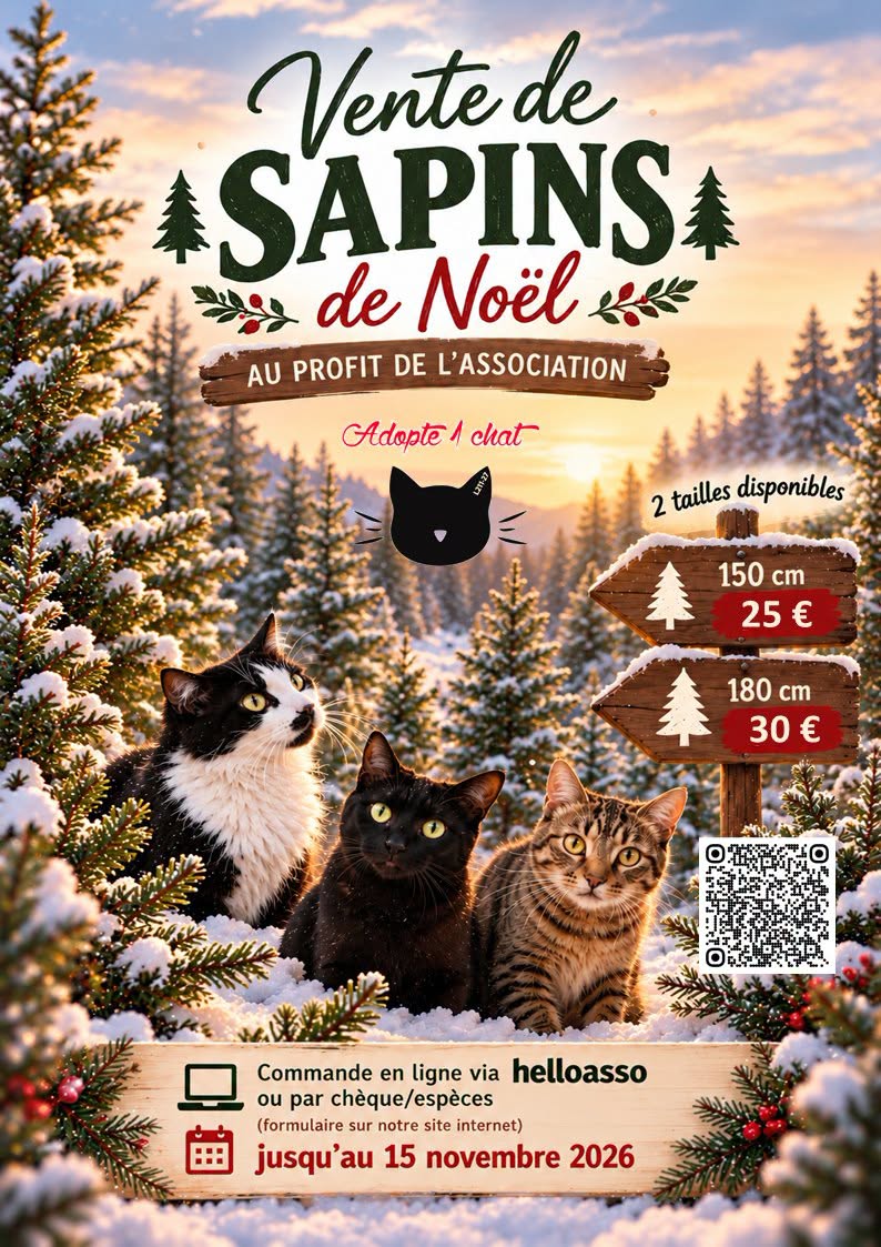 Vente de sapins 