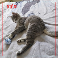 Mylène