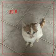 62767460711962556959984967289215406050749979n